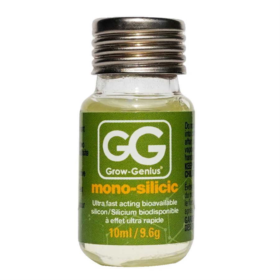 New product